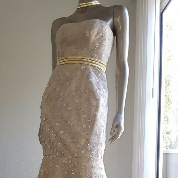 #◇$9,000 NEW CAROLINA HERRERA PRETTY GOLD BLUSH SILVER EMBR CRYSTAL GOWN 10 L - Picture 2 of 12